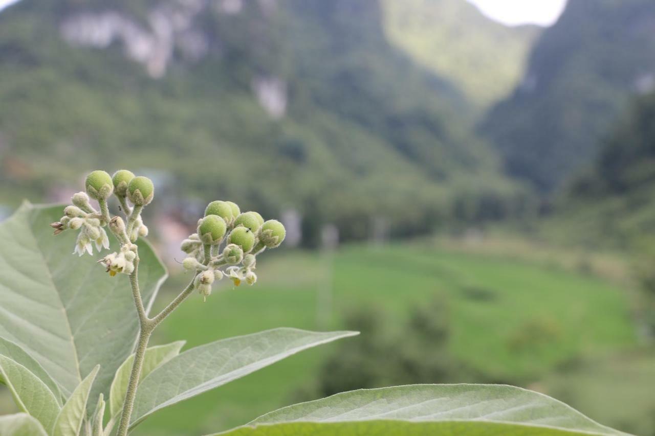 Khuoi Ky Eco Homestay กาวบั่ง ภายนอก รูปภาพ